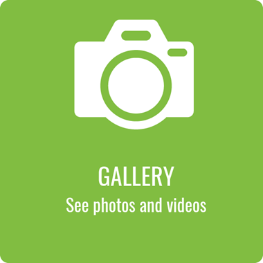 view gallery button
