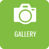 gallery button
